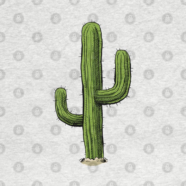 Cactus by Barnyardy